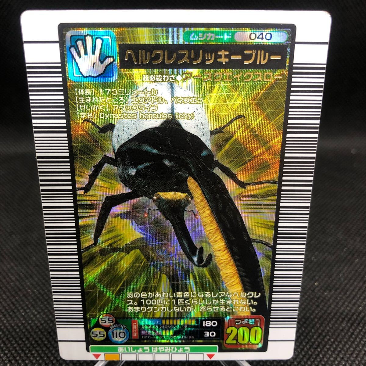 甲虫王者ムシキング ムシキングカード 2005ファーストプラス 甲虫王者ムシキング ムシキングカード 2005ファーストプラス