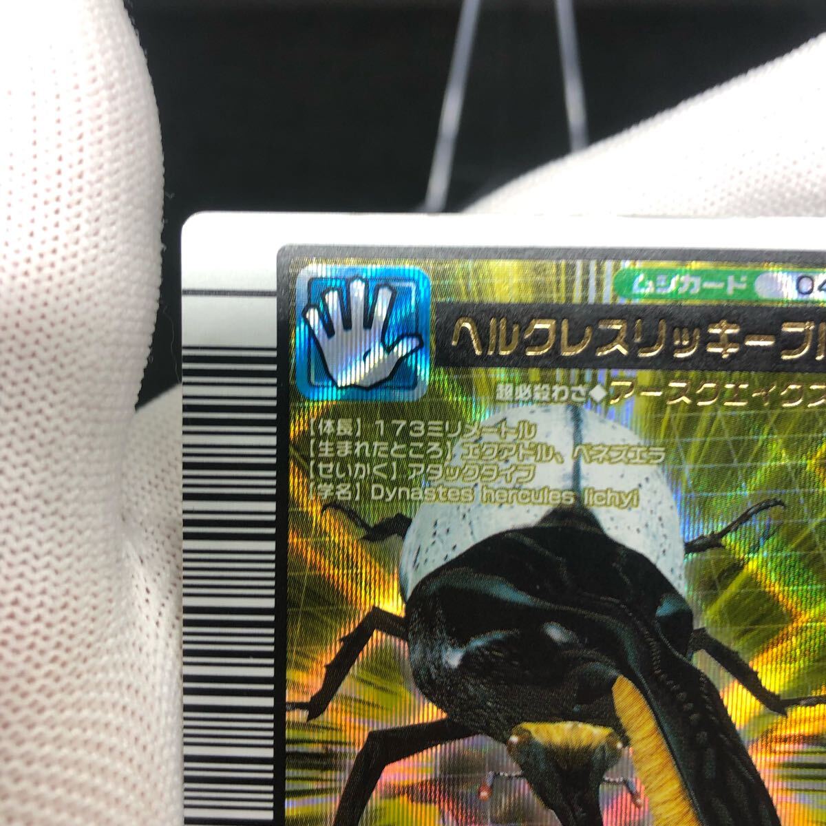 甲虫王者ムシキング ムシキングカード 2005ファーストプラス 甲虫王者ムシキング ムシキングカード 2005ファーストプラス