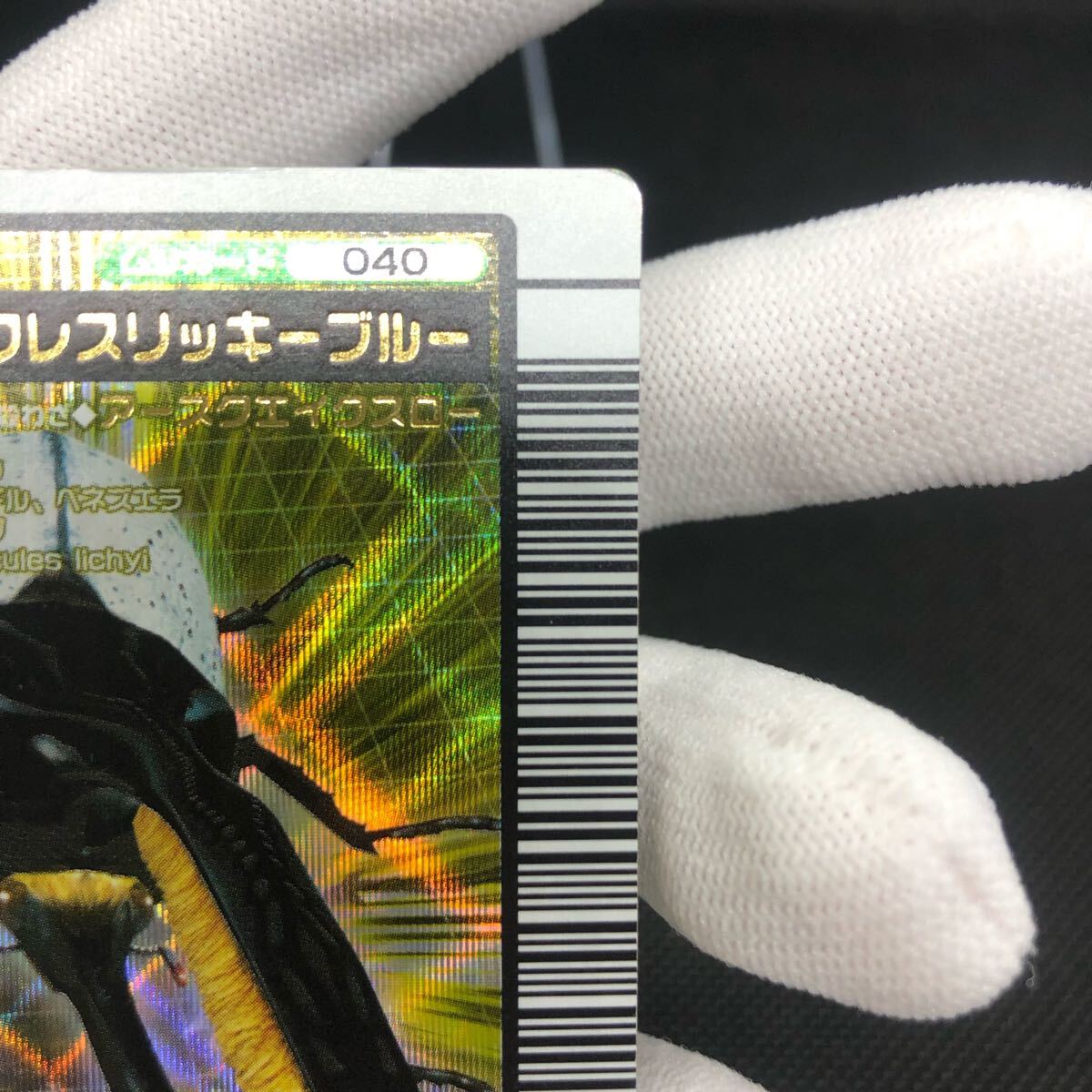 甲虫王者ムシキング ムシキングカード 2005ファーストプラス 甲虫王者ムシキング ムシキングカード 2005ファーストプラス