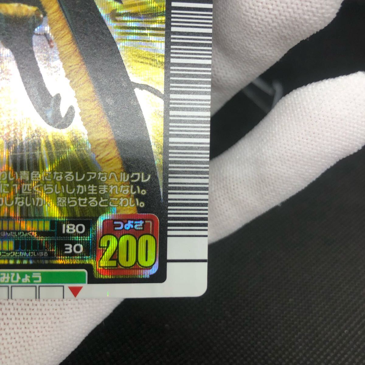 甲虫王者ムシキング ムシキングカード 2005ファーストプラス 甲虫王者ムシキング ムシキングカード 2005ファーストプラス