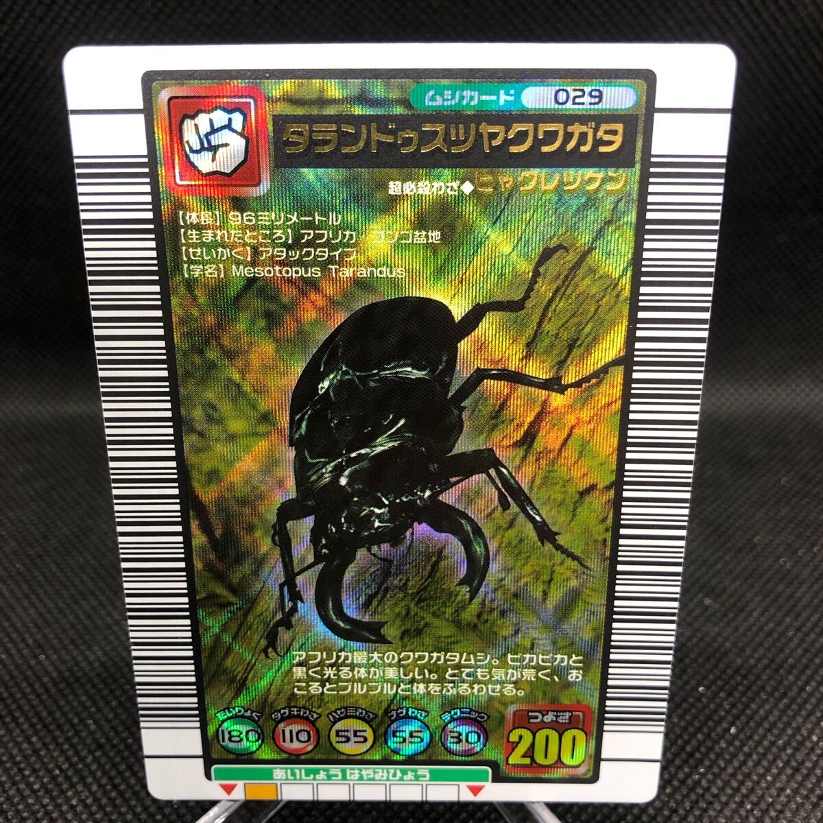 甲虫王者ムシキング ムシキングカード 2004セカンド 甲虫王者ムシキング ムシキングカード 2004セカンド