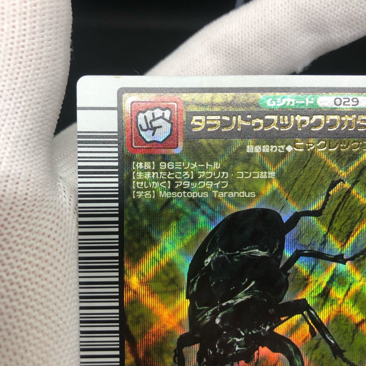 甲虫王者ムシキング ムシキングカード 2004セカンド 甲虫王者ムシキング ムシキングカード 2004セカンド
