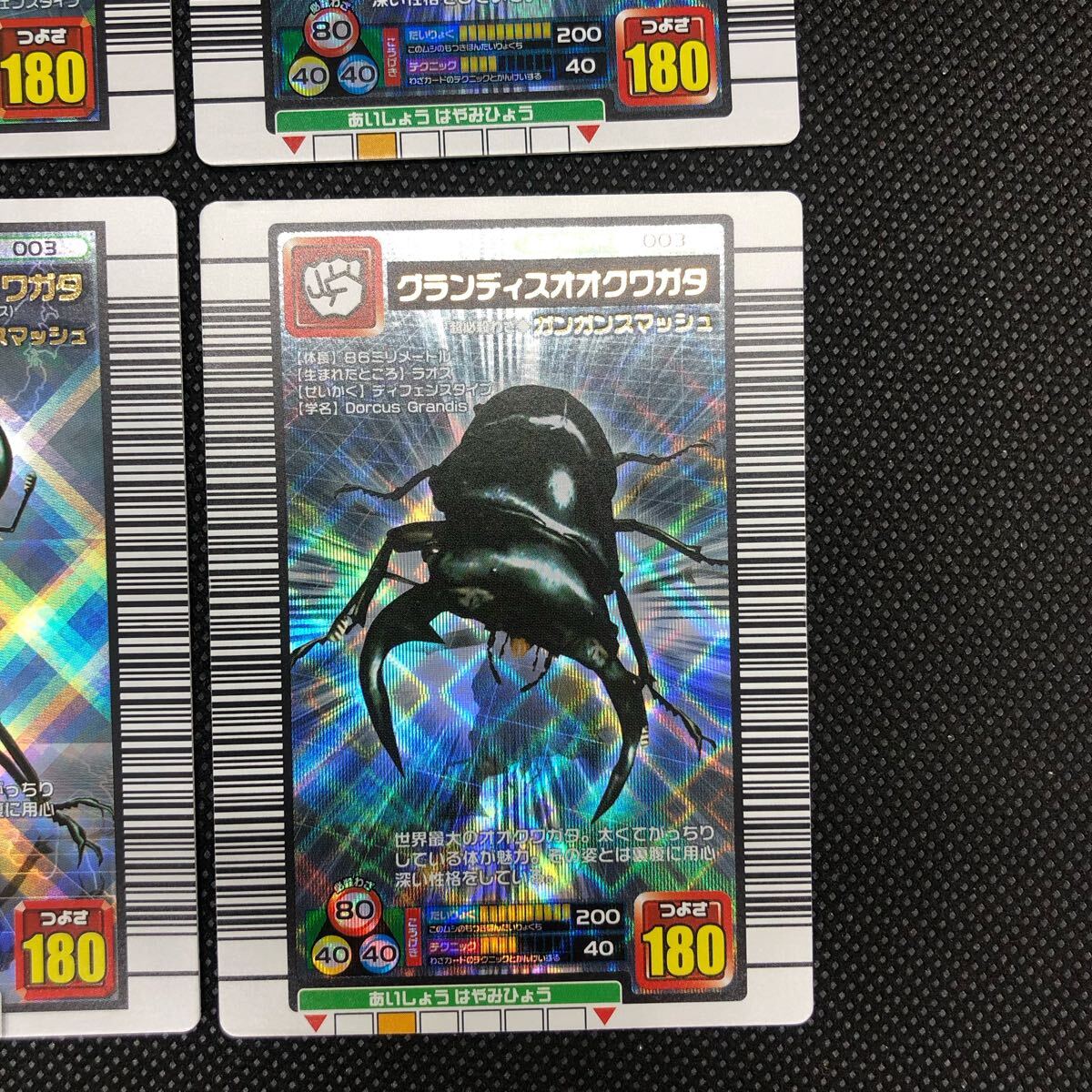甲虫王者ムシキング ムシキングカード 2005ファースト 2005 甲虫王者ムシキング ムシキングカード 2005ファースト 2005