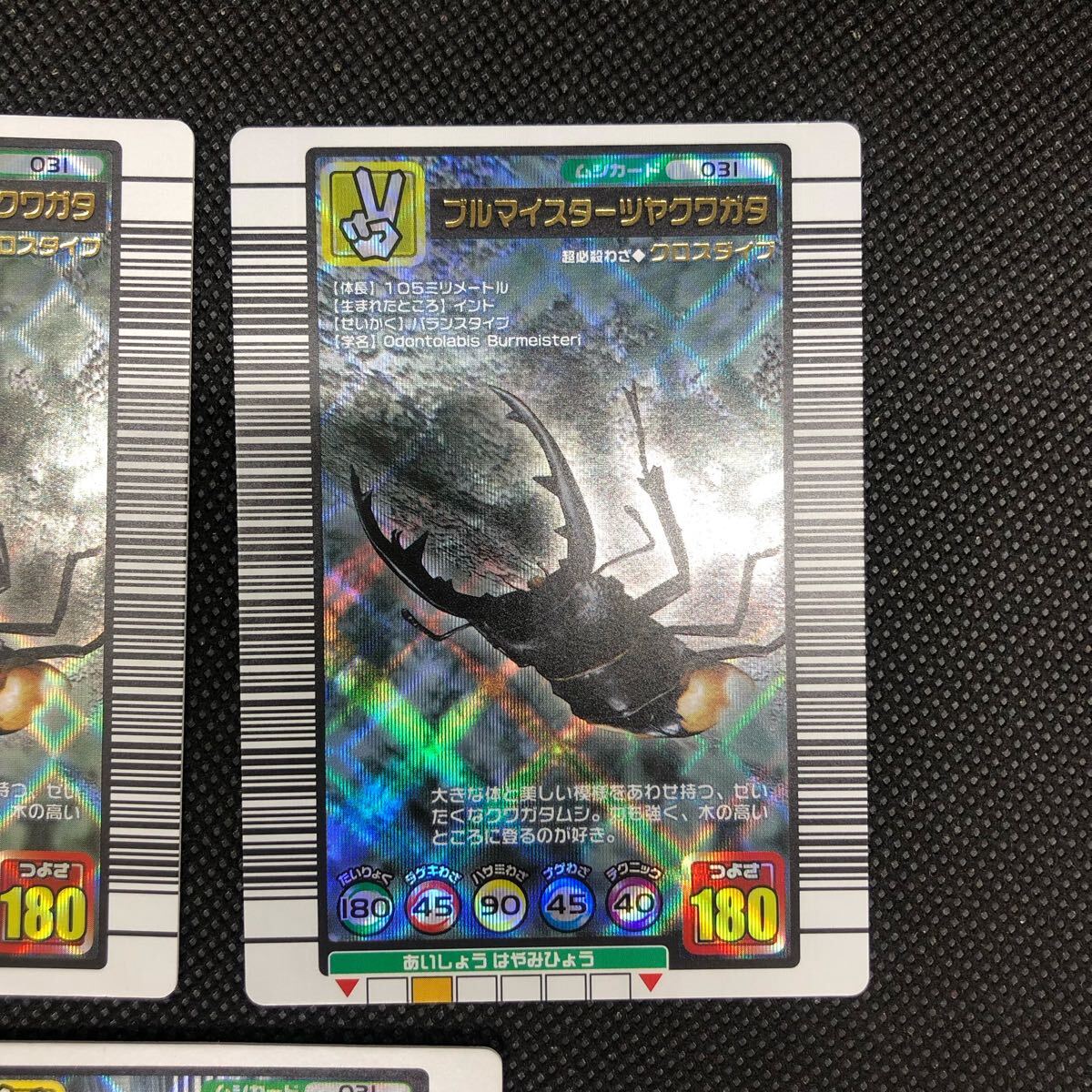 甲虫王者ムシキング ムシキングカード 2004セカンド 2004 甲虫王者ムシキング ムシキングカード 2004セカンド 2004
