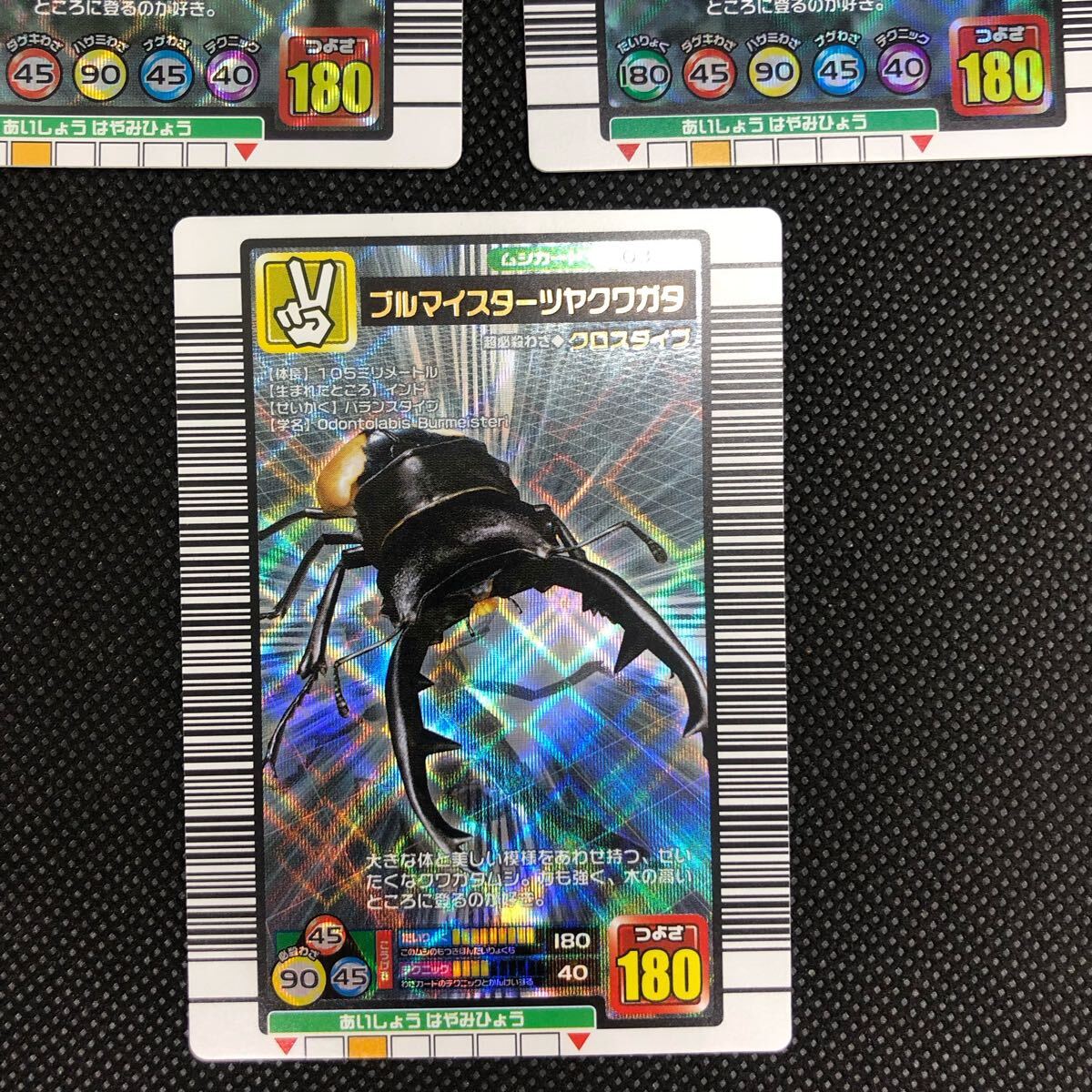 甲虫王者ムシキング ムシキングカード 2004セカンド 2004 甲虫王者ムシキング ムシキングカード 2004セカンド 2004