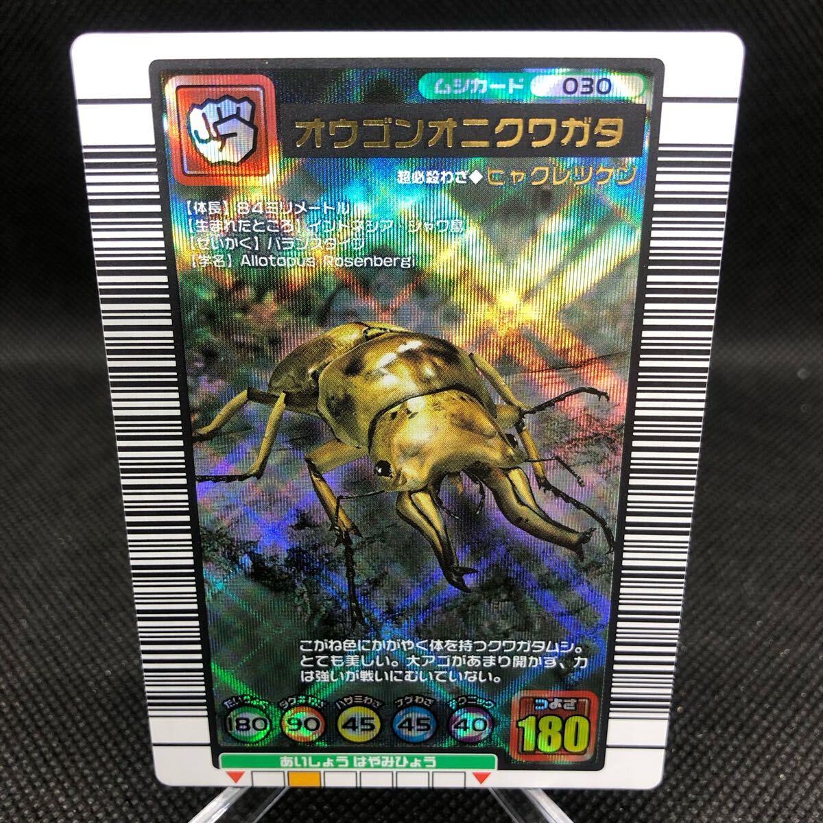甲虫王者ムシキング ムシキングカード 2004セカンド 甲虫王者ムシキング ムシキングカード 2004セカンド