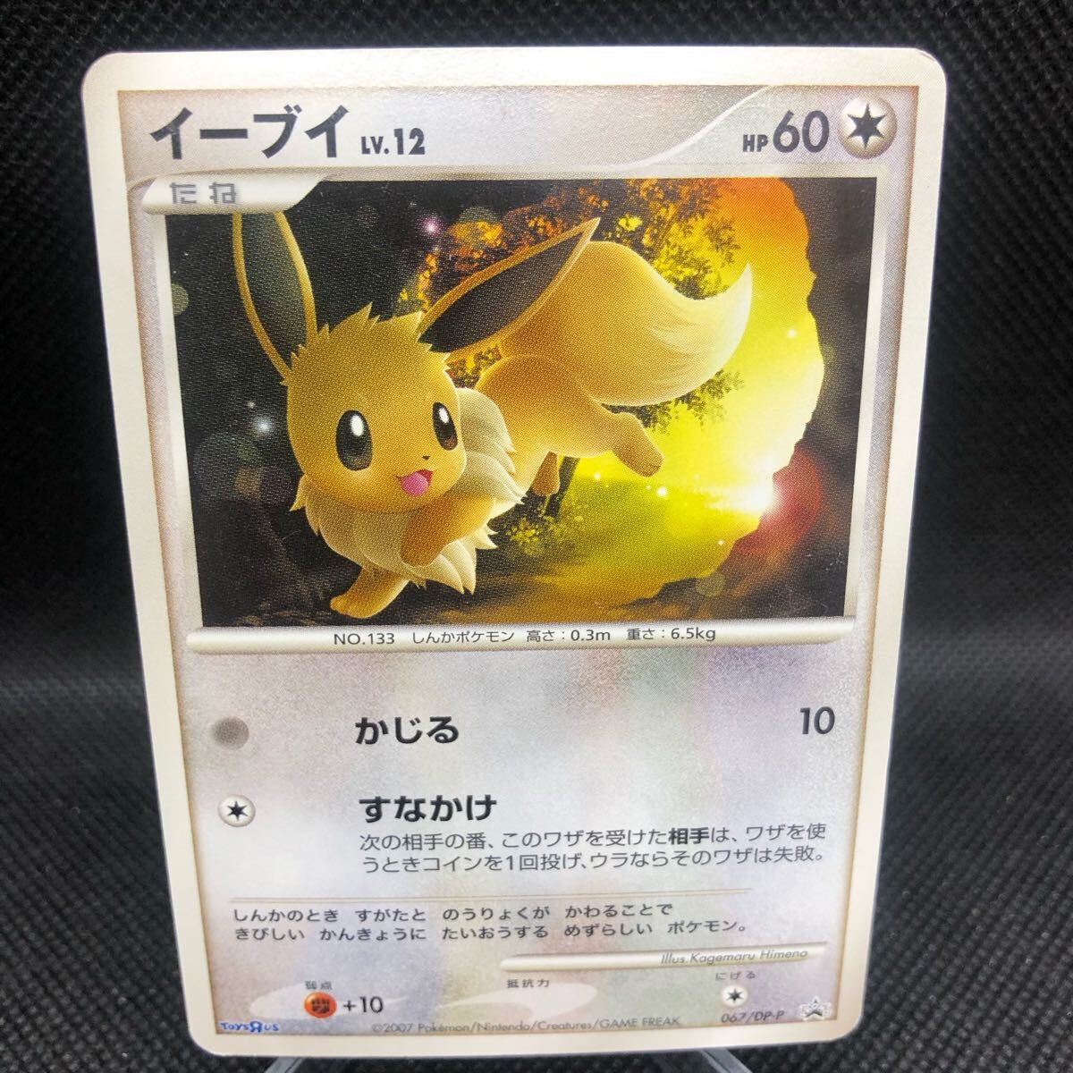 ポケモンカード トイザらス イーブイ プロモカード|Yahoo ポケモンカード トイザらス イーブイ プロモカード|Yahoo