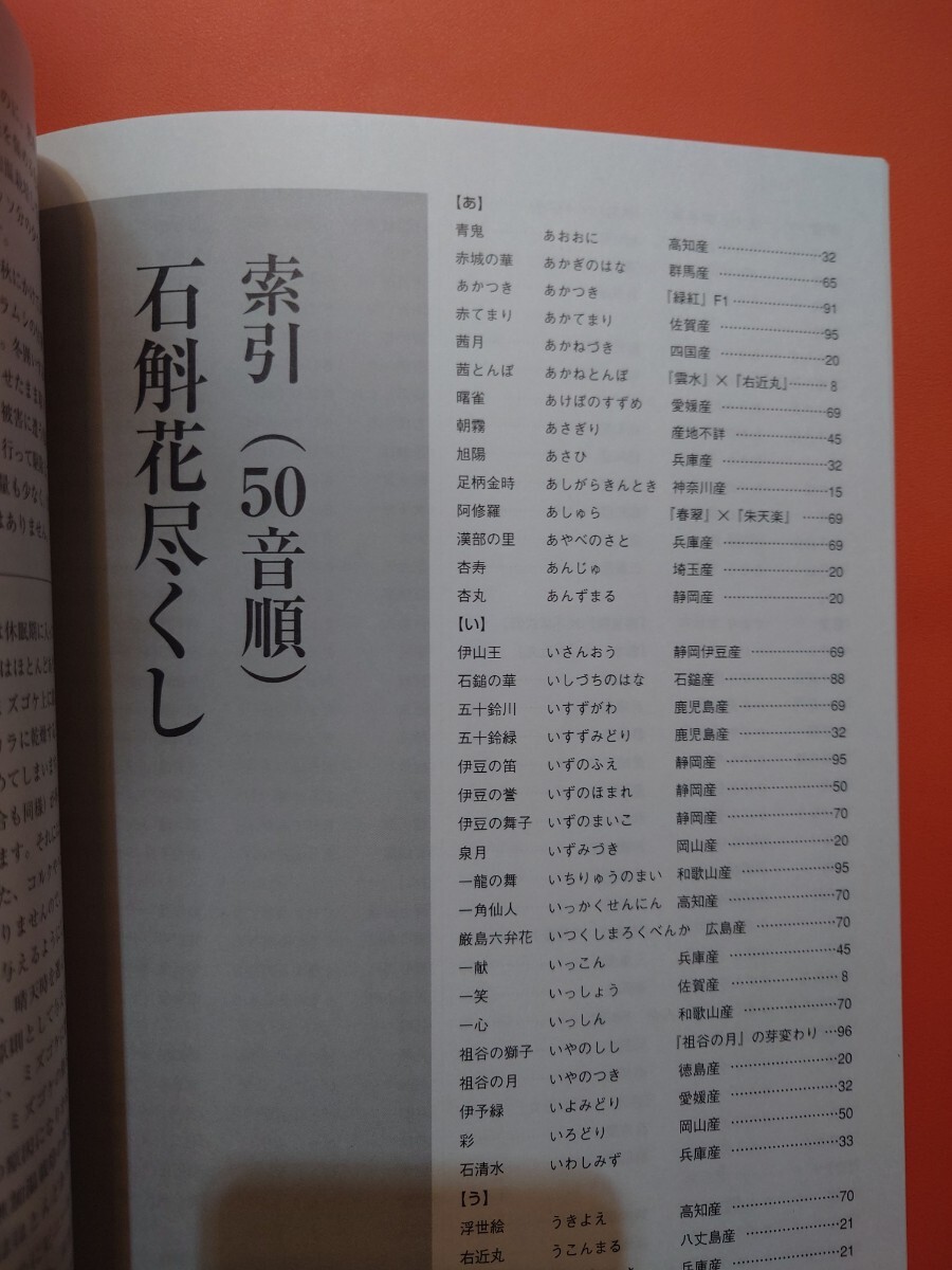 石斛花尽くし セッコク花尽くし 自然と野生ラン増刊 新企画出版