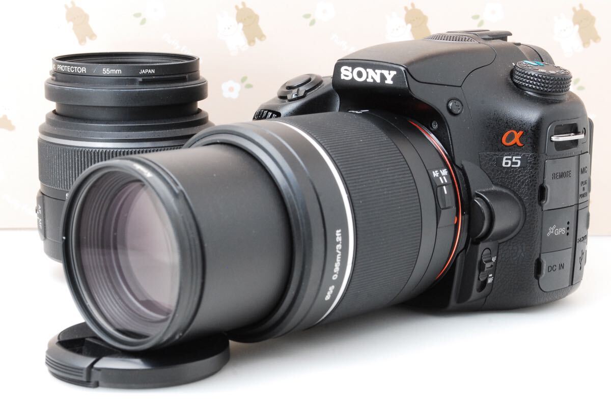 美品❤️運動会や旅行に❤️SONY α65❤️ダブルズーム♪自撮り 美品❤️運動会や旅行に❤️SONY α65❤️ダブルズーム♪自撮り