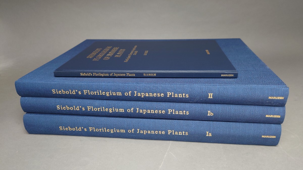 シーボルト旧蔵「日本植物図譜」コレクション 和文解説篇共 全4 シーボルト旧蔵「日本植物図譜」コレクション 和文解説篇共 全4