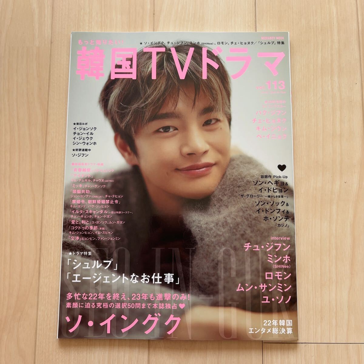 もっと知りたい!韓国TVドラマ vol.113 ソ・イングク