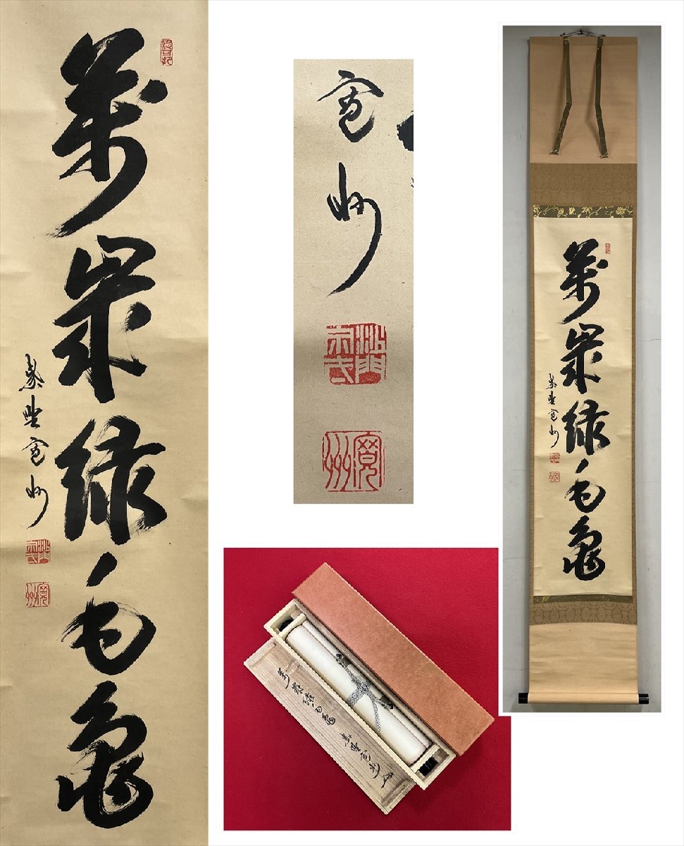 大徳寺派 三玄院 長谷川寛州 萬歳緑毛亀 自筆 一行書 紙本 d959◆在銘 箱 茶掛 掛軸 掛物 茶道具 同梱可 条件有 100027911