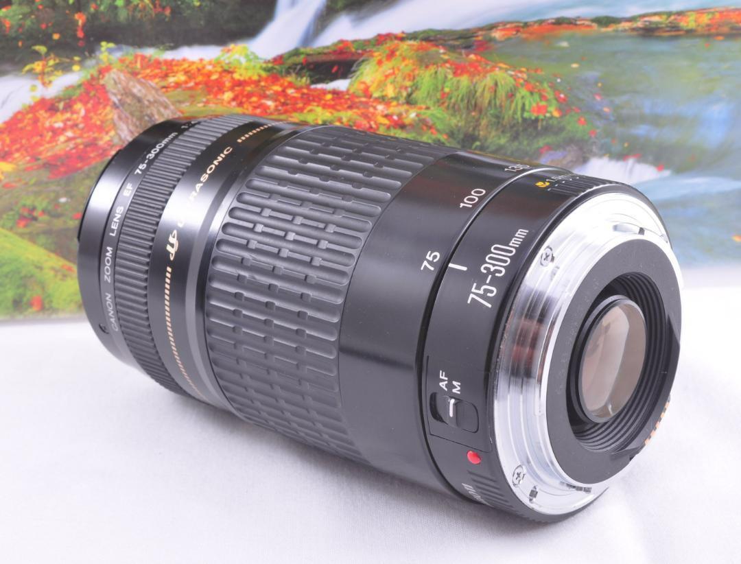 ☆良品☆ キャノン CANON EF 75-300mm F4-5.6 III USM #0883 ☆良品☆ キャノン CANON EF 75-300mm F4-5.6 III USM #0883