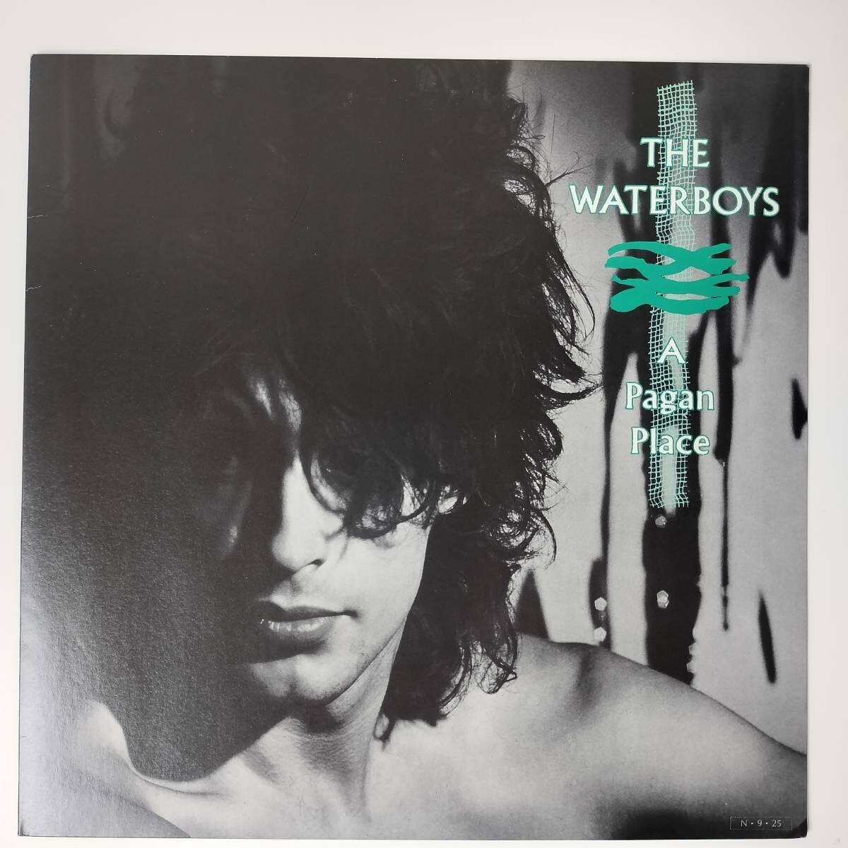 26648 盤未使用に近い THE WATERBOYS/A PAGAN PLACE