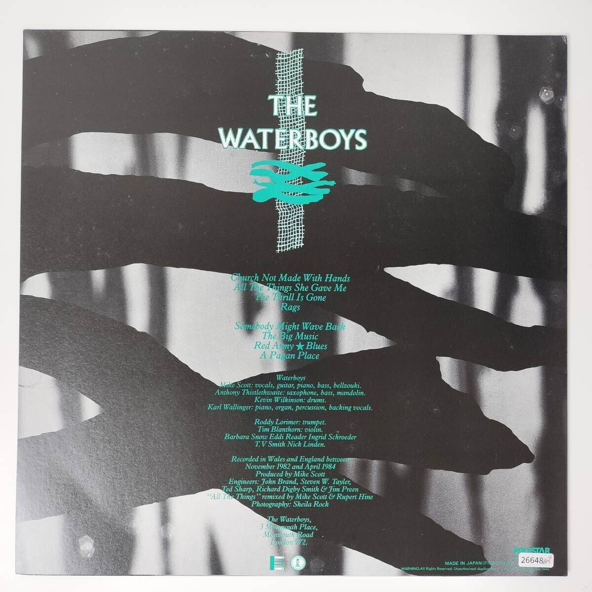 26648 盤未使用に近い THE WATERBOYS/A PAGAN PLACE