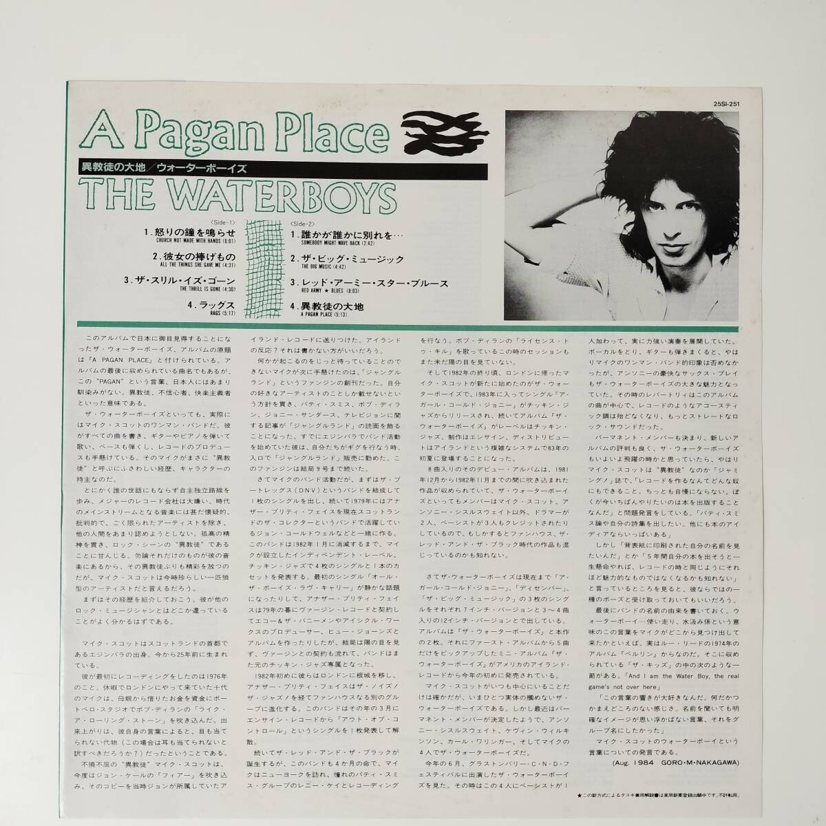 26648 盤未使用に近い THE WATERBOYS/A PAGAN PLACE