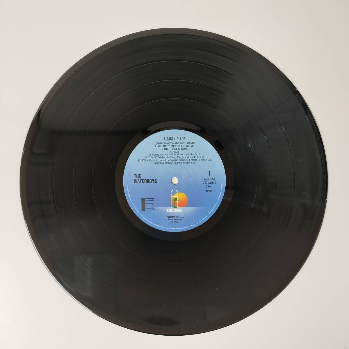 26648 盤未使用に近い THE WATERBOYS/A PAGAN PLACE