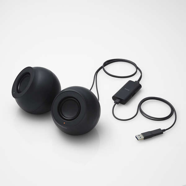 2.0chスピーカー [Stina] 実用最大出力4.4W USB-A?USB-C接続 51mmの丸型フルレンジドライバーを採用: SP-P10CUSBBK