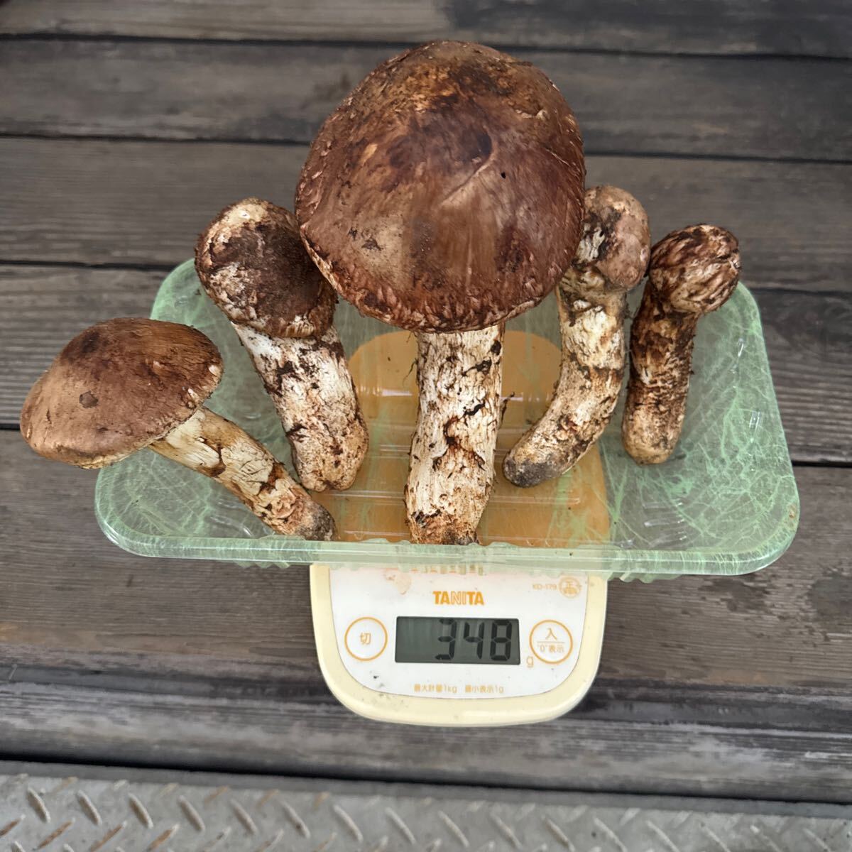 ②南信州産 松茸 最終です！本日午後採取 迅速発送！！348g早い者勝ち 