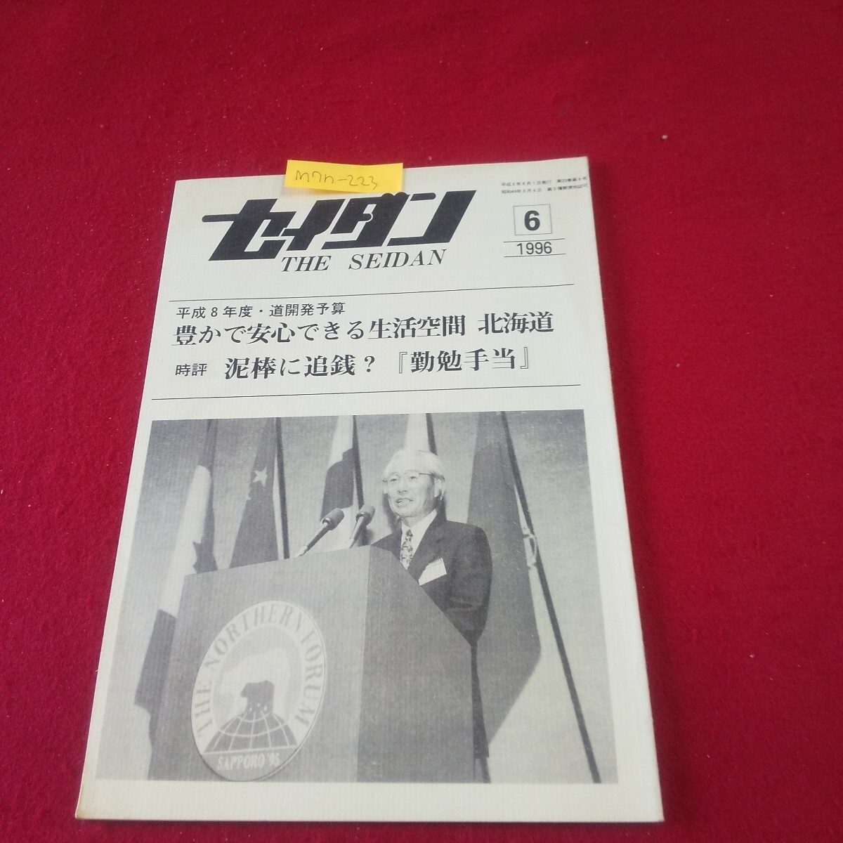 M7h-223 月刊セイダン 1996年6月号 豊かで安心できる生活空間 島の将来像を創造できる町づくり ふれあい交流都市へ