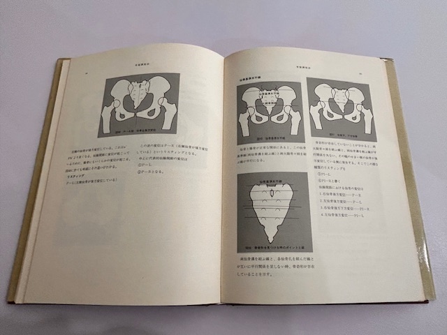 パーマー系 カイロプラクティック カイロ整体鍼灸整骨