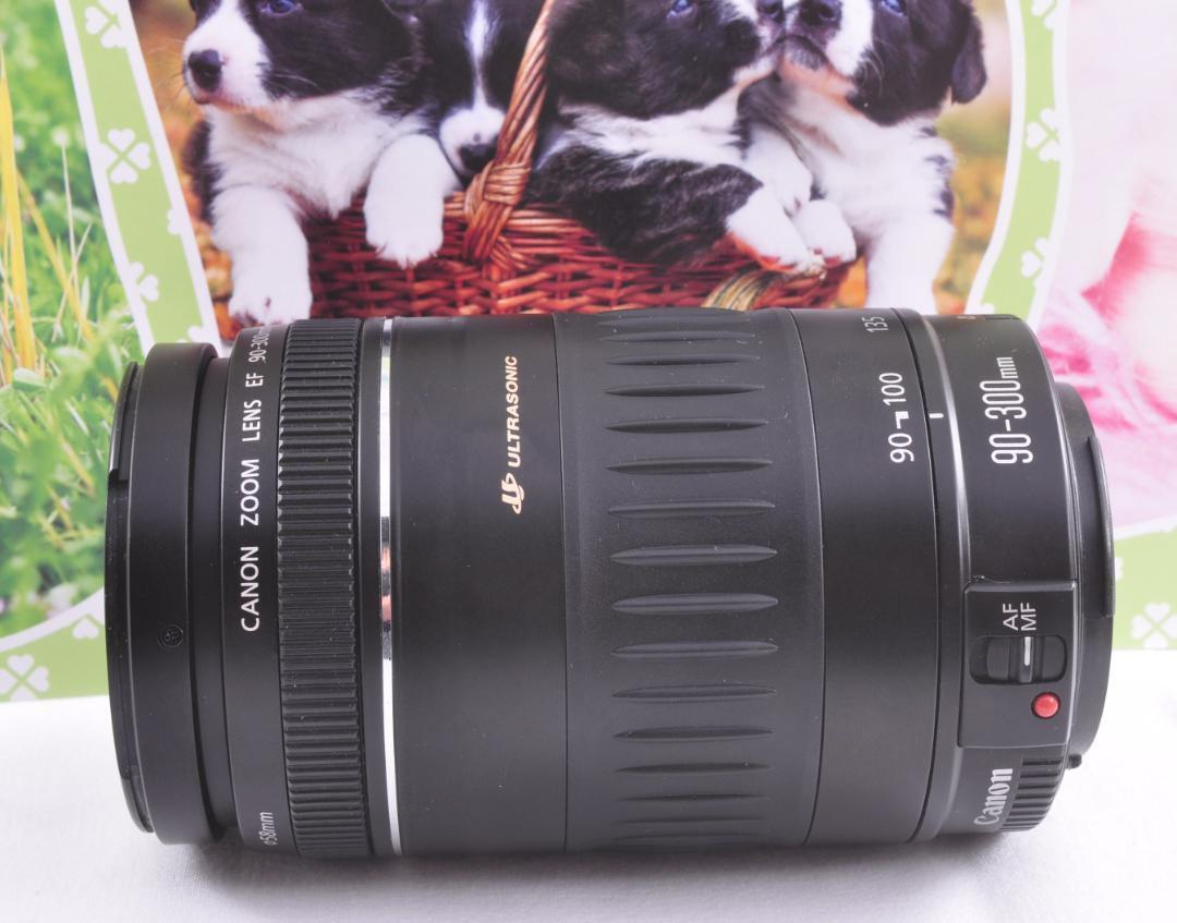 望遠レンズ 大切な記録を望遠で！ Canon キヤノン EF90-300mm#2 望遠レンズ 大切な記録を望遠で！ Canon キヤノン EF90-300mm#2