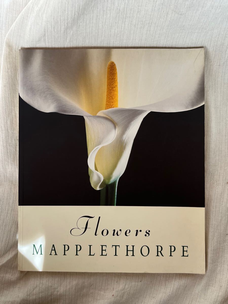 ○ ロバート・メイプルソープ写真集 RobertMapplethorpe ○ ロバート・メイプルソープ写真集 RobertMapplethorpe