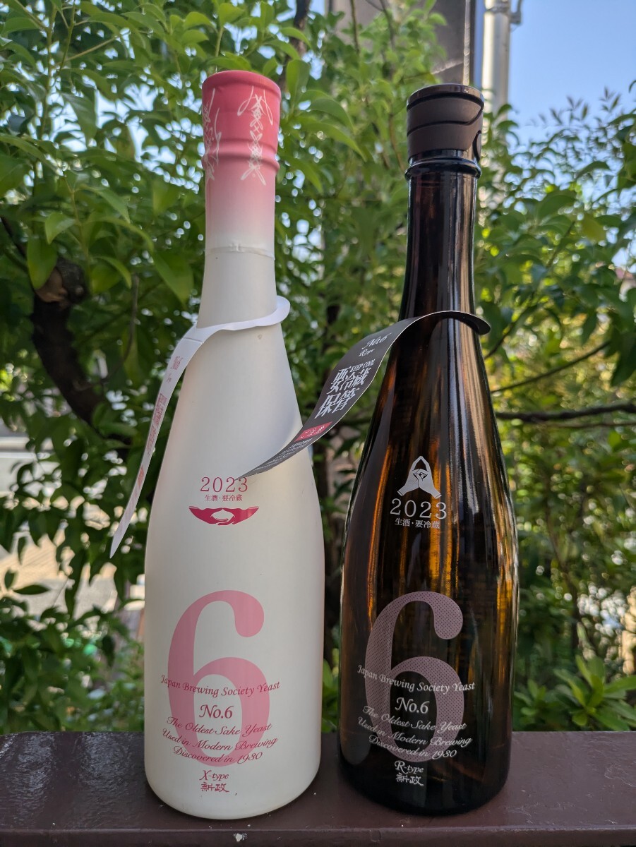 新政 新政 X-type R-type