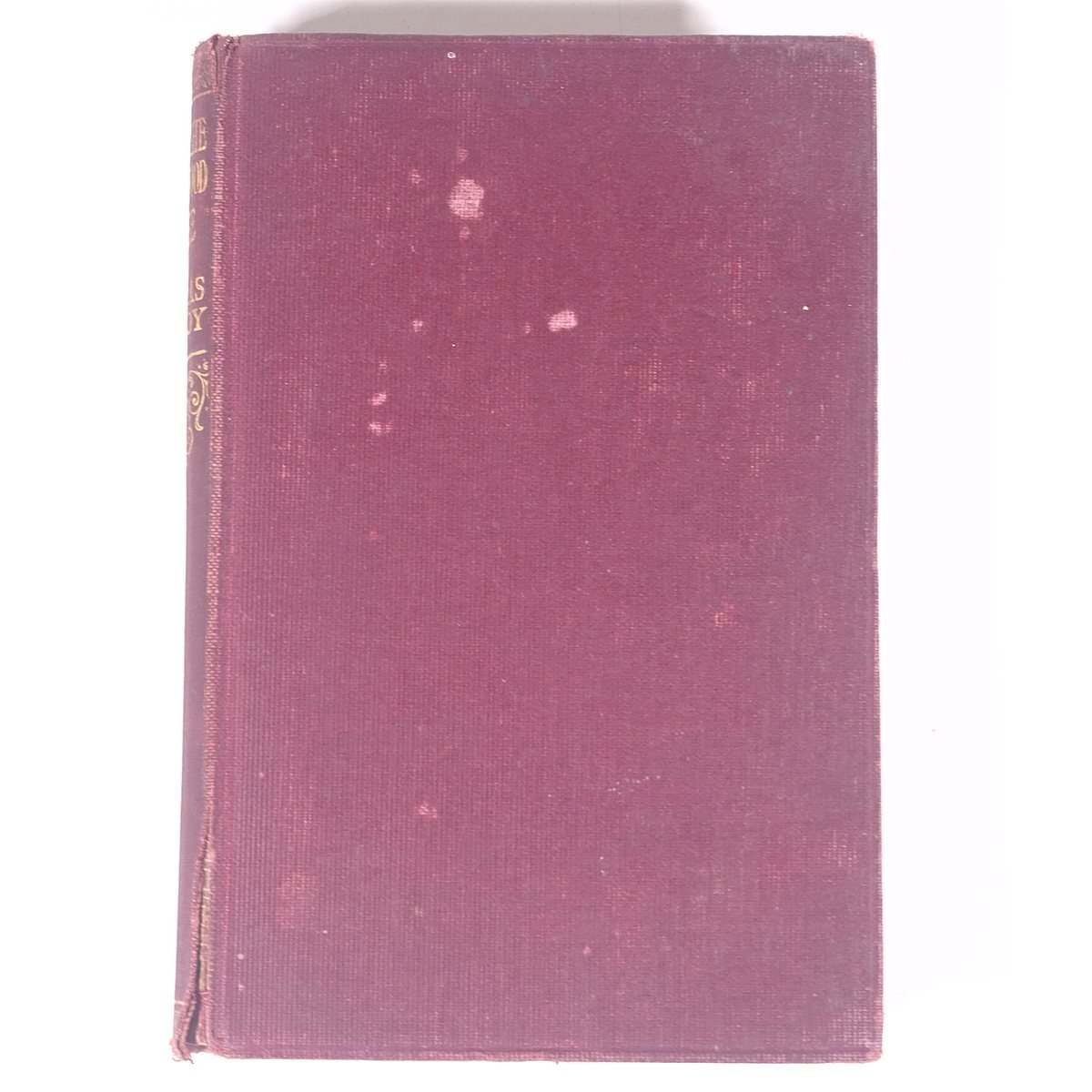 【英語洋書】 UNDER THE GREENWOOD TREE 緑樹の陰 Thomas Hardy トーマス・ハーディ著 古書 単行本 文学 文芸 海外小説