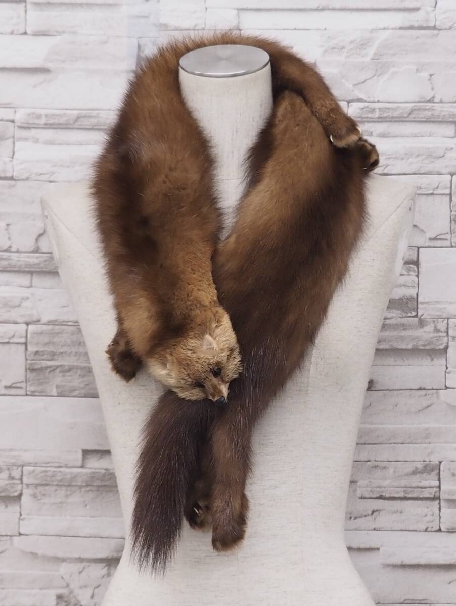 ■ロシアンセーブル■顔つきボア■104cmｘ11cm■ナチュラルカラー■足つき■おっかけ■