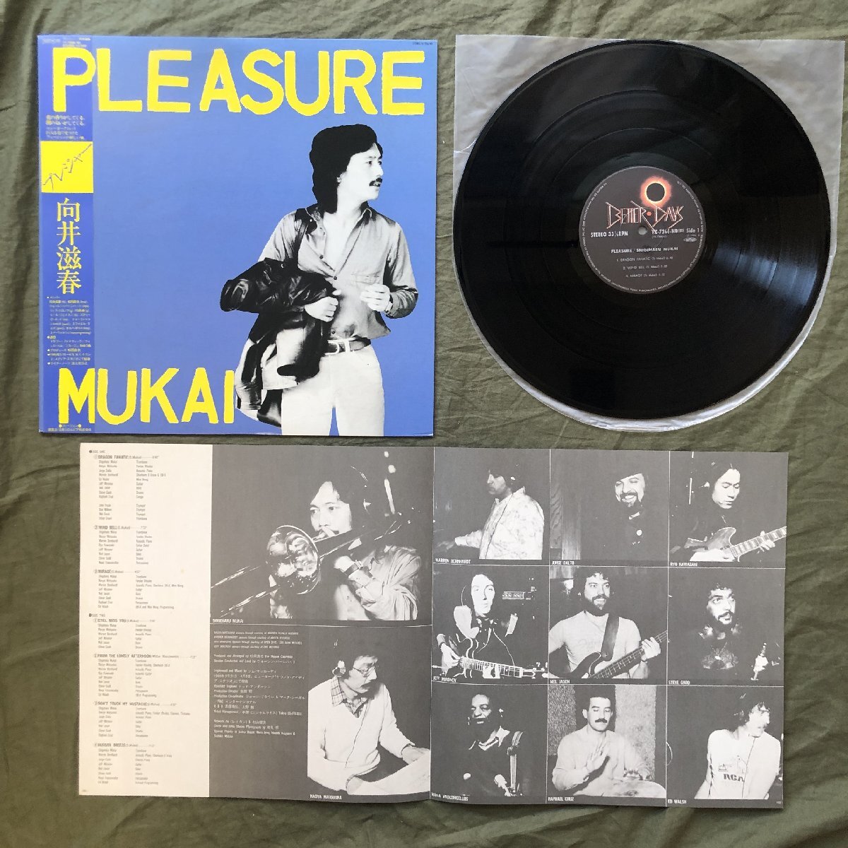  царапина нет прекрасный запись 1980 год направление .. весна Shigeharu Mukai LP запись p отдых Pleasure с лентой Jazz Fusion Steve Gadd Kawasaki . сосна холм прямой .