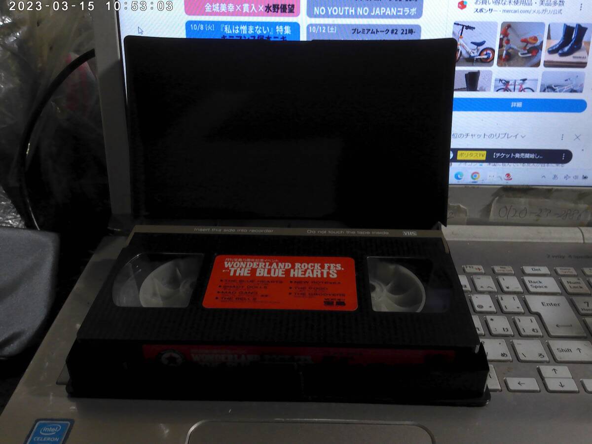 月刊寶島15周年記念イベント WONDERLAND ROCK FES. with THE BLUE HEARTS VHS ブルーハーツ NEW ROTEeKA GROOVERS POGO GROOVERS MAD GANG