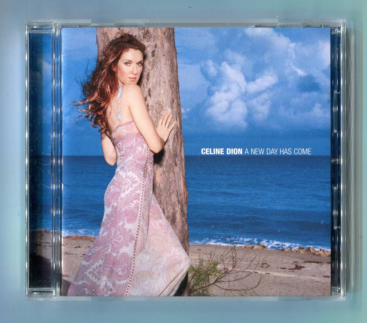 CELCELINE DION セリーヌ?ディオン - A New Day Has Come ア?ニュー?デイ?ハズ?カム 日本盤 名盤 I'm Alive , I Surrender 