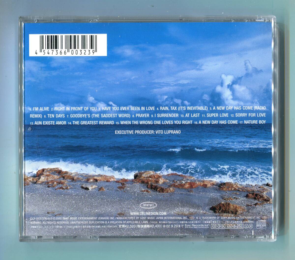 CELCELINE DION セリーヌ?ディオン - A New Day Has Come ア?ニュー?デイ?ハズ?カム 日本盤 名盤 I'm Alive , I Surrender 