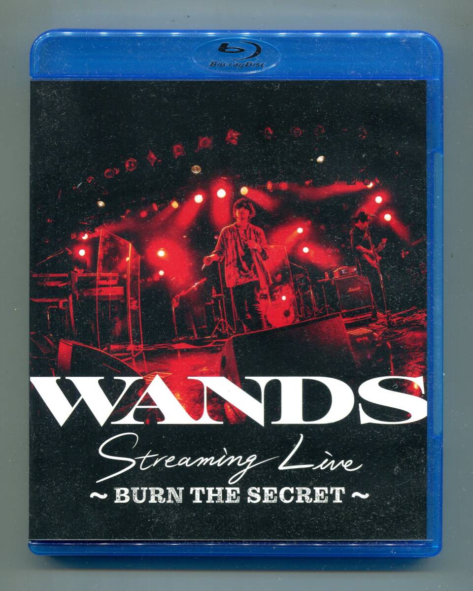 WANDS - Streaming Live BURN THE SECRET 上原大史(-真天地開闢集団-ジグザグ 命 -mikoto-) 星のない空の下で 天使になんてなれなかった