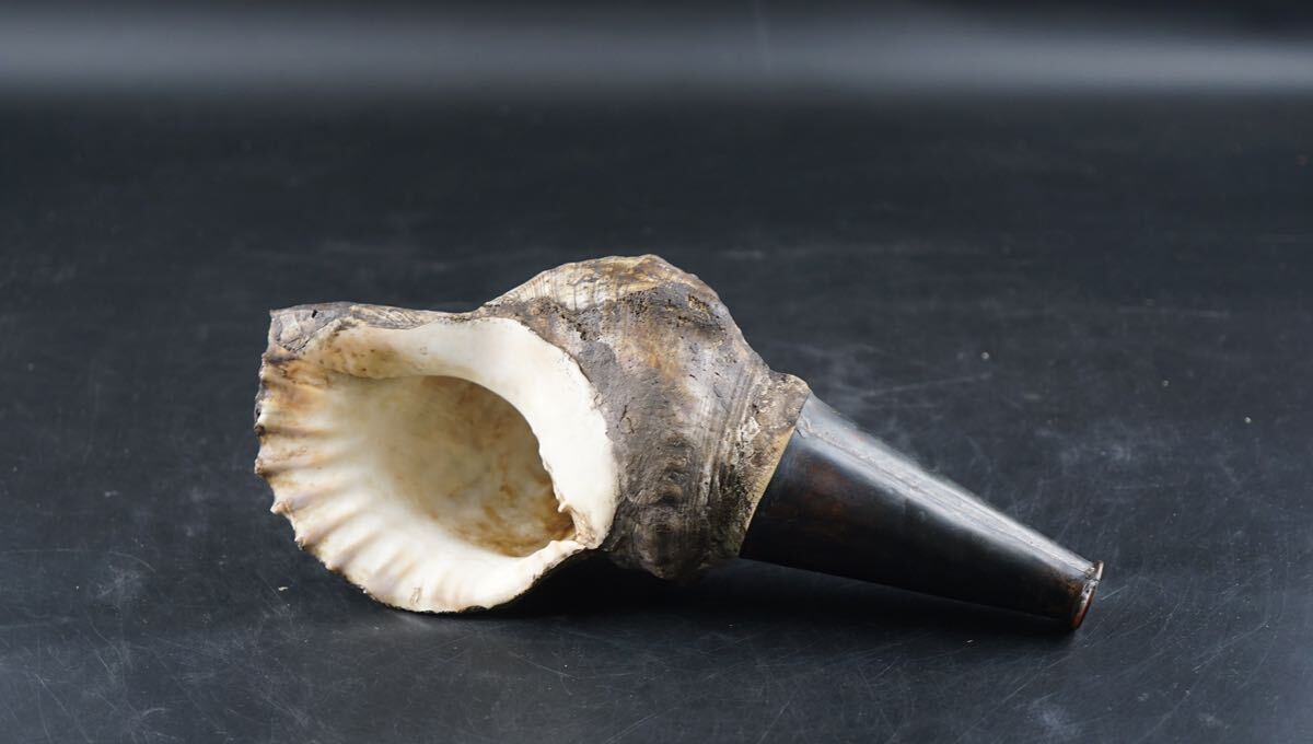 法螺貝　山伏　真言宗 最高級 山伏修験歌口木製法螺貝 不動明王 梵字入 桜 - 穂の国