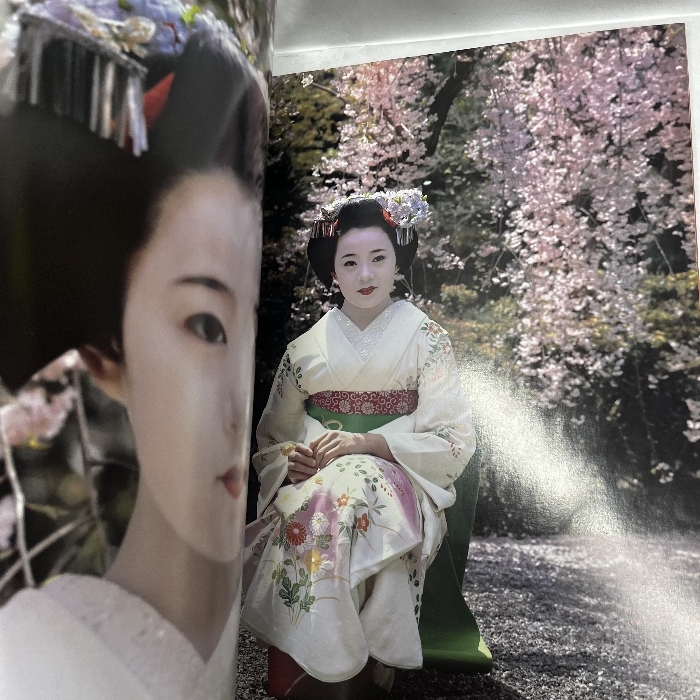祇園の舞妓 フジアート出版 大型本 京都|人文、社会 祇園の舞妓 フジアート出版 大型本 京都|人文、社会