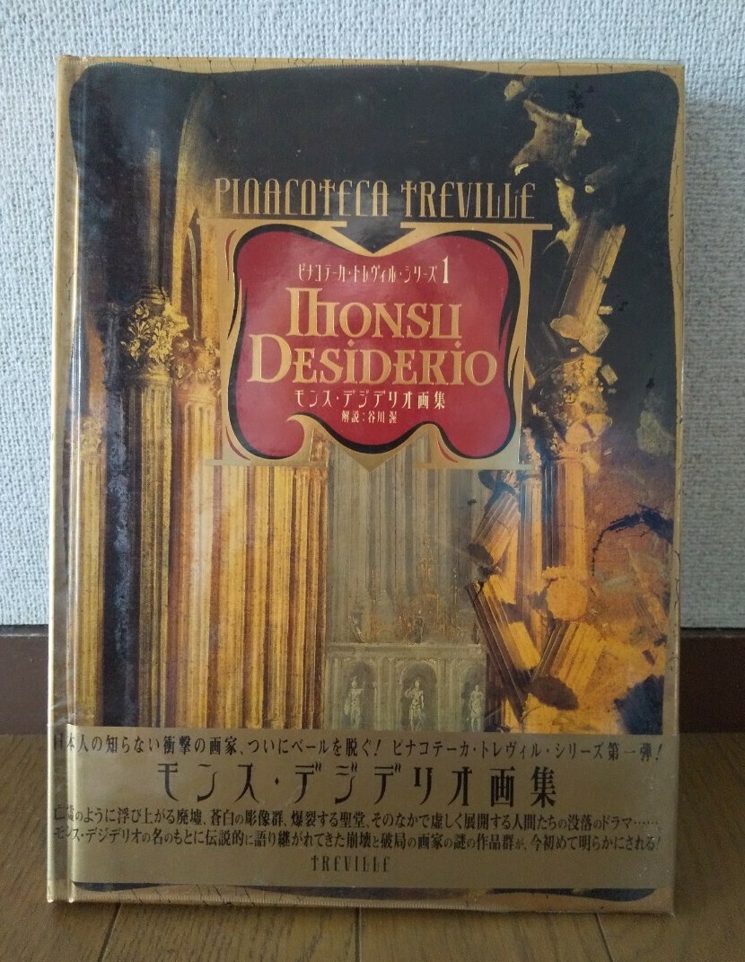 値下げ中 モンス・デジデリオ画集 ビナコテーカ・トレヴィル・シリーズ第1弾 美術 画集