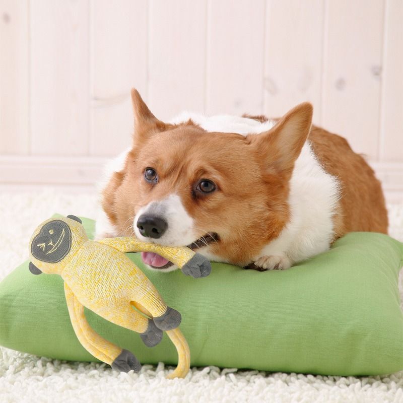 スーパーキャット テ ロング モンキー ブルー TM-03 犬用おもちゃ
