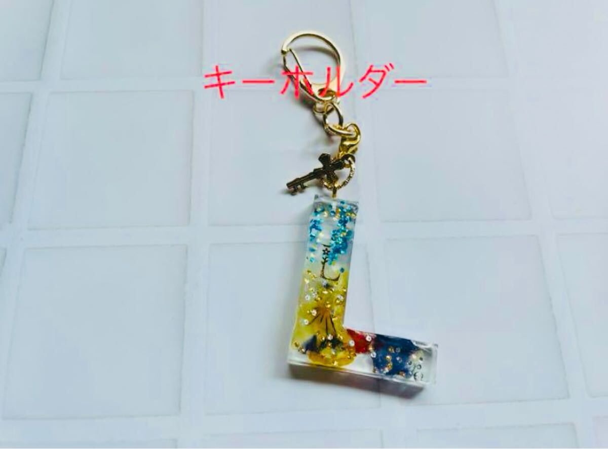 a156 initial key holder L