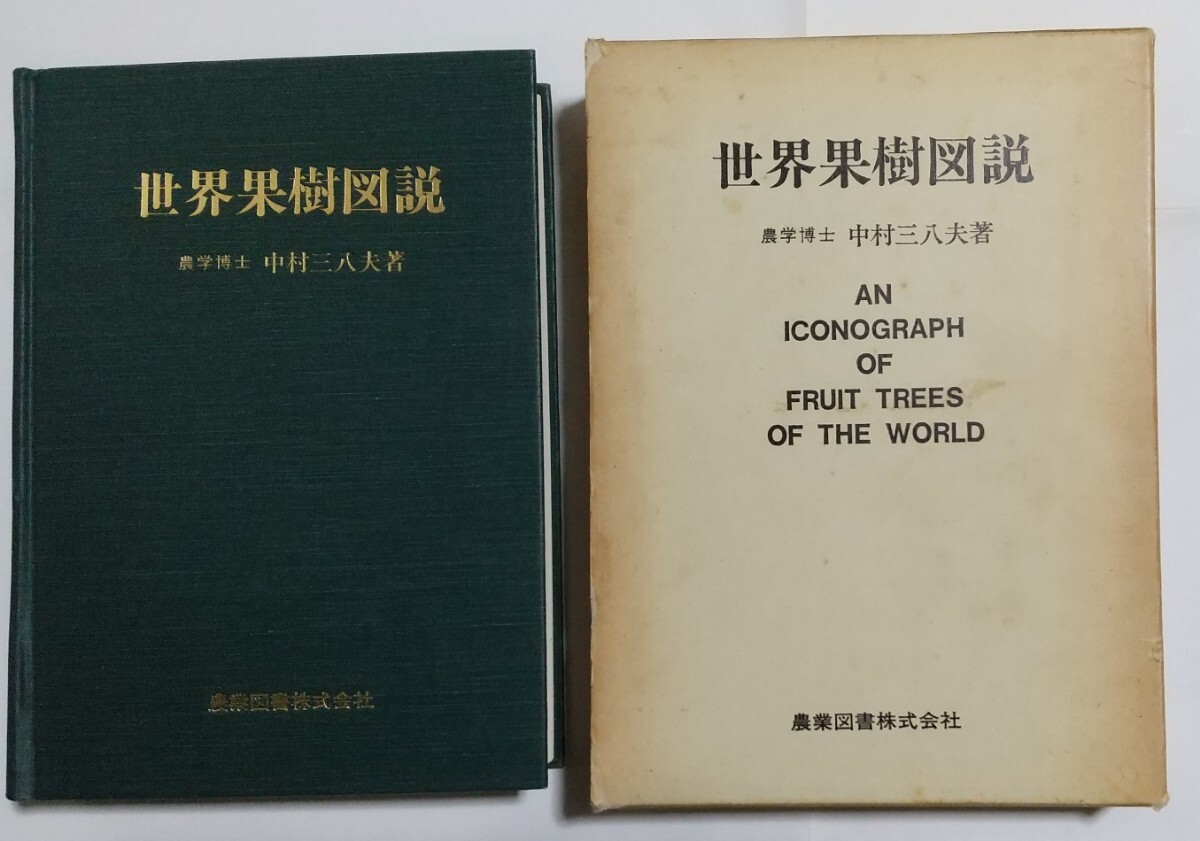 世界果樹図説　　中村三八夫　　　　農業図書　　　　箱イタミ
