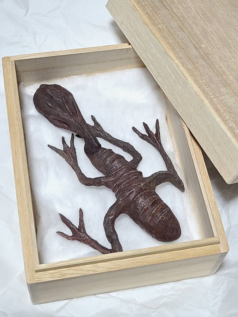 一点物 鴉天狗のミイラ 妖怪 烏天狗 ミイラ芸術作品 怪奇標本 一点物 鴉天狗のミイラ 妖怪 烏天狗 ミイラ芸術作品 怪奇標本
