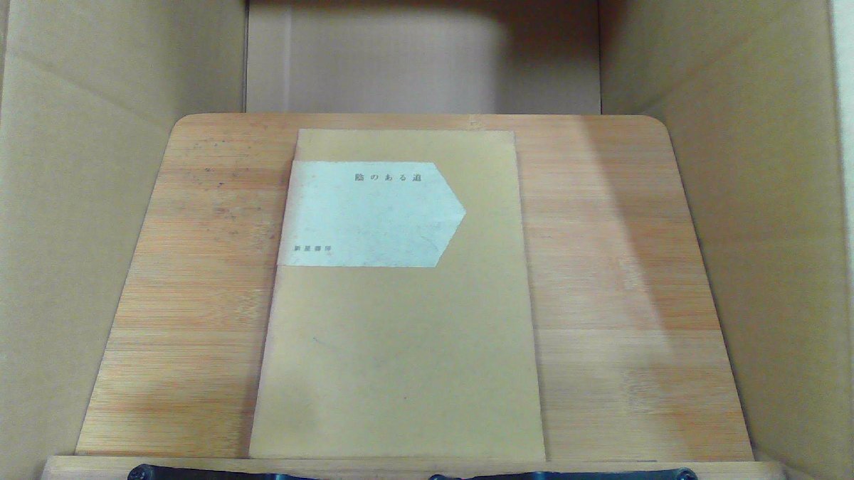 陰のある道 新星書房