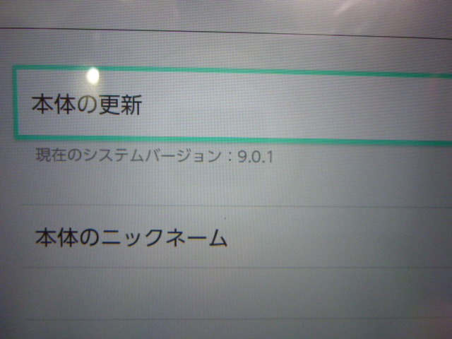 Nintendo Switch 本体 / 付属品完備 / 未対策機 Ver 9 0 1 Nintendo Switch 本体 / 付属品完備 / 未対策機 Ver 9 0 1