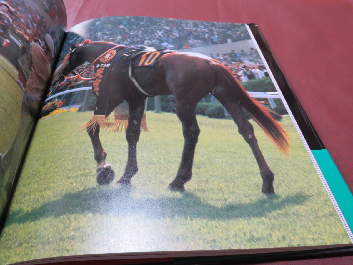 優駿BOOKS　テンポイント　帯付　1991年初版　写真集 難あり