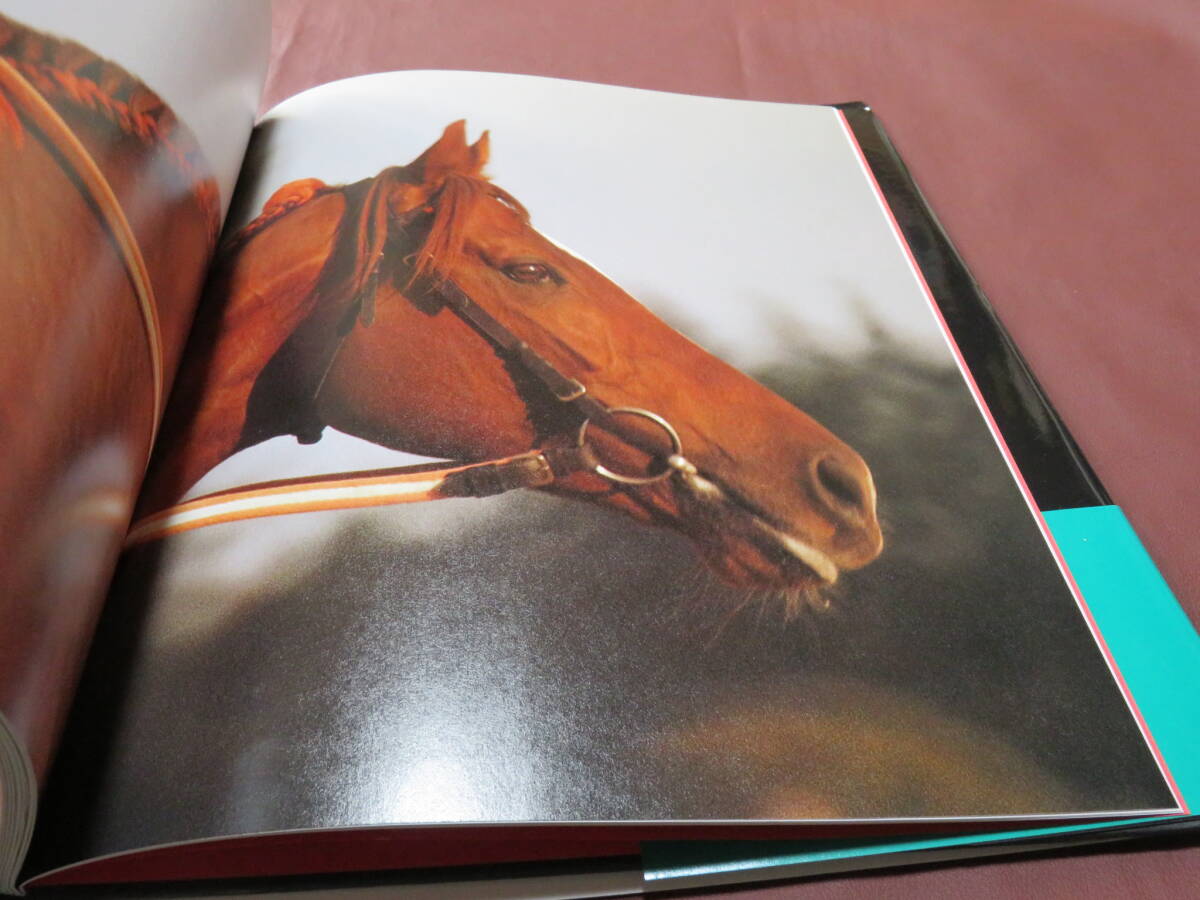 優駿BOOKS　テンポイント　帯付　1991年初版　写真集 難あり