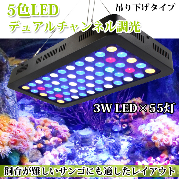 珊瑚水槽照明 LEDライト ブラックボックス PSE技術基準適合 プリズムレンズ 珊瑚水槽照明 LEDライト ブラックボックス PSE技術基準適合