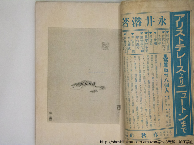 （雑誌）独立人　武者小路実篤個人雑誌　第3巻7号-第4巻6号まで12冊揃/武者小路実篤/春秋社