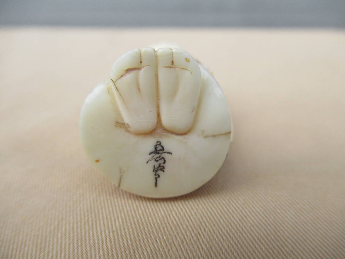 鯨歯 マッコウクジラ 牙玉 ルース 約21.5㎜ 片穴楕円形約6㎜ □鯨歯 根付 在銘□マッコウクジラ え-21