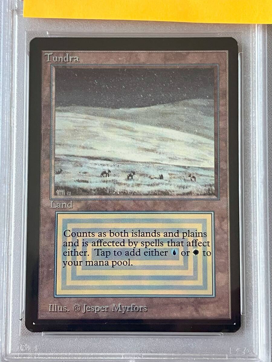 *PSA9 β Tundra Beta BETA*